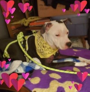 Meet your Posher, Rhonda